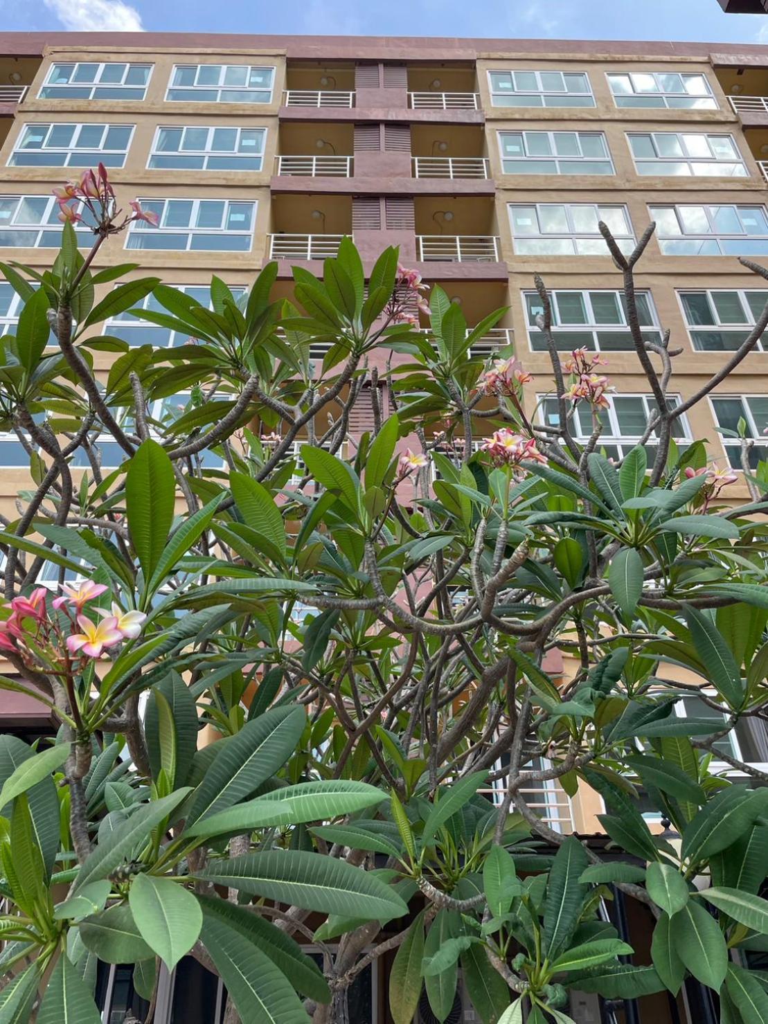 H2Do Hotel Ban Khlong Sanam Phli Εξωτερικό φωτογραφία